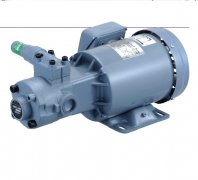 <b>Nippon Oil Pump Co., Ltd. 日本油泵株式会社 NOP 泵用马达：高效动力之源</b>